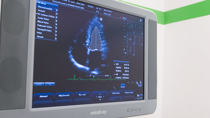 Die Ultraschalldiagnostik
